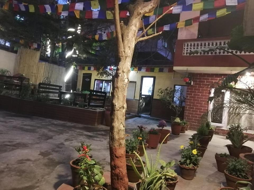 Nirvana Green Peace Home كاتماندو المظهر الخارجي الصورة