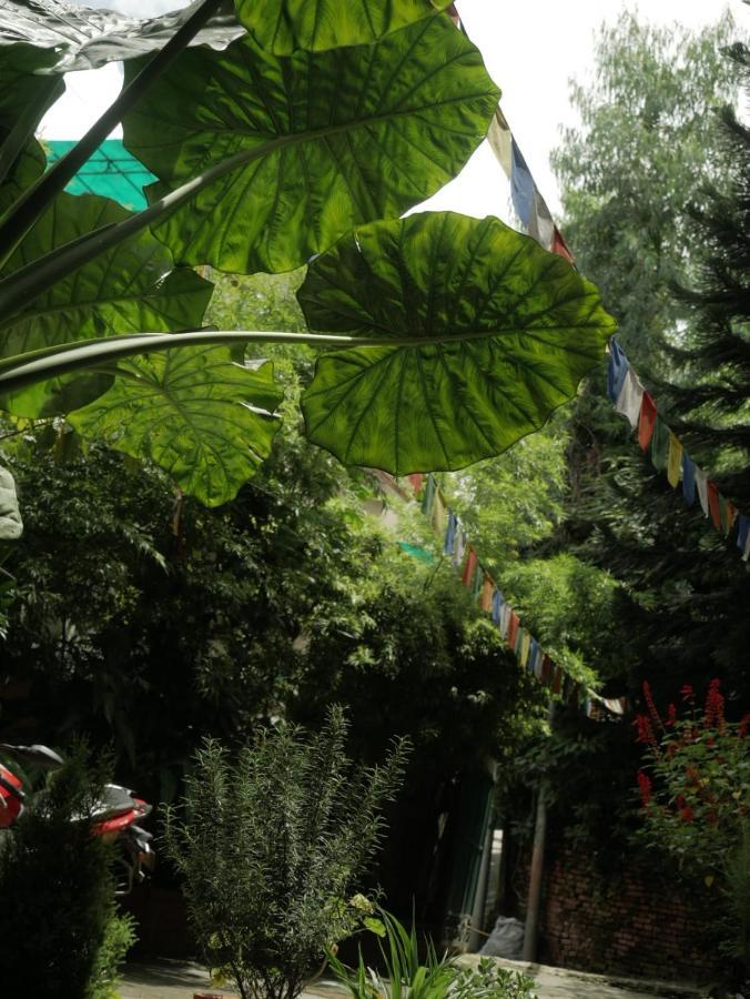 Nirvana Green Peace Home كاتماندو المظهر الخارجي الصورة