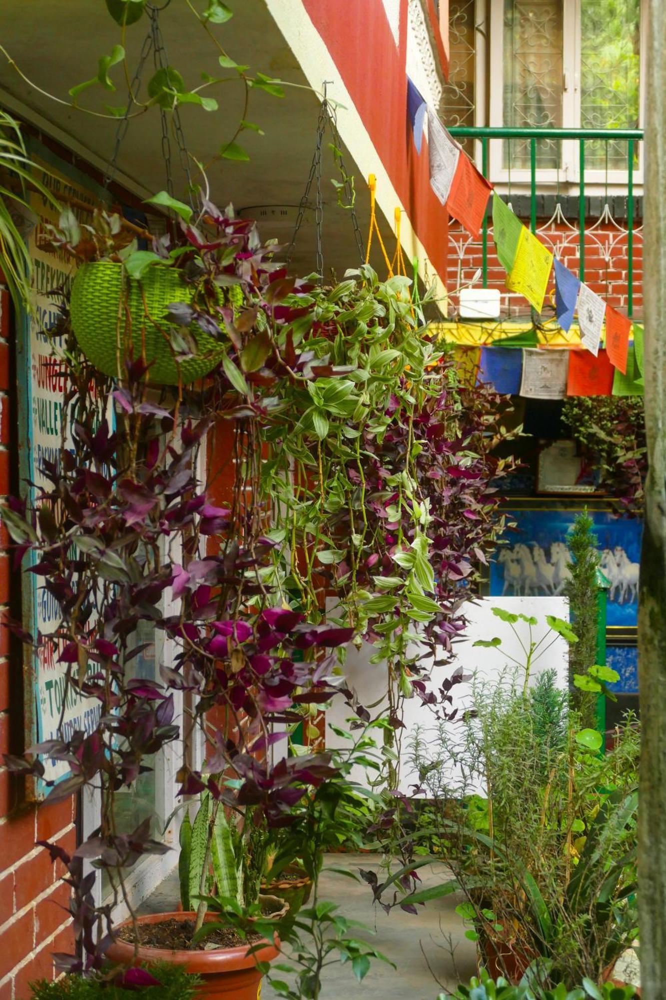 Nirvana Green Peace Home كاتماندو المظهر الخارجي الصورة