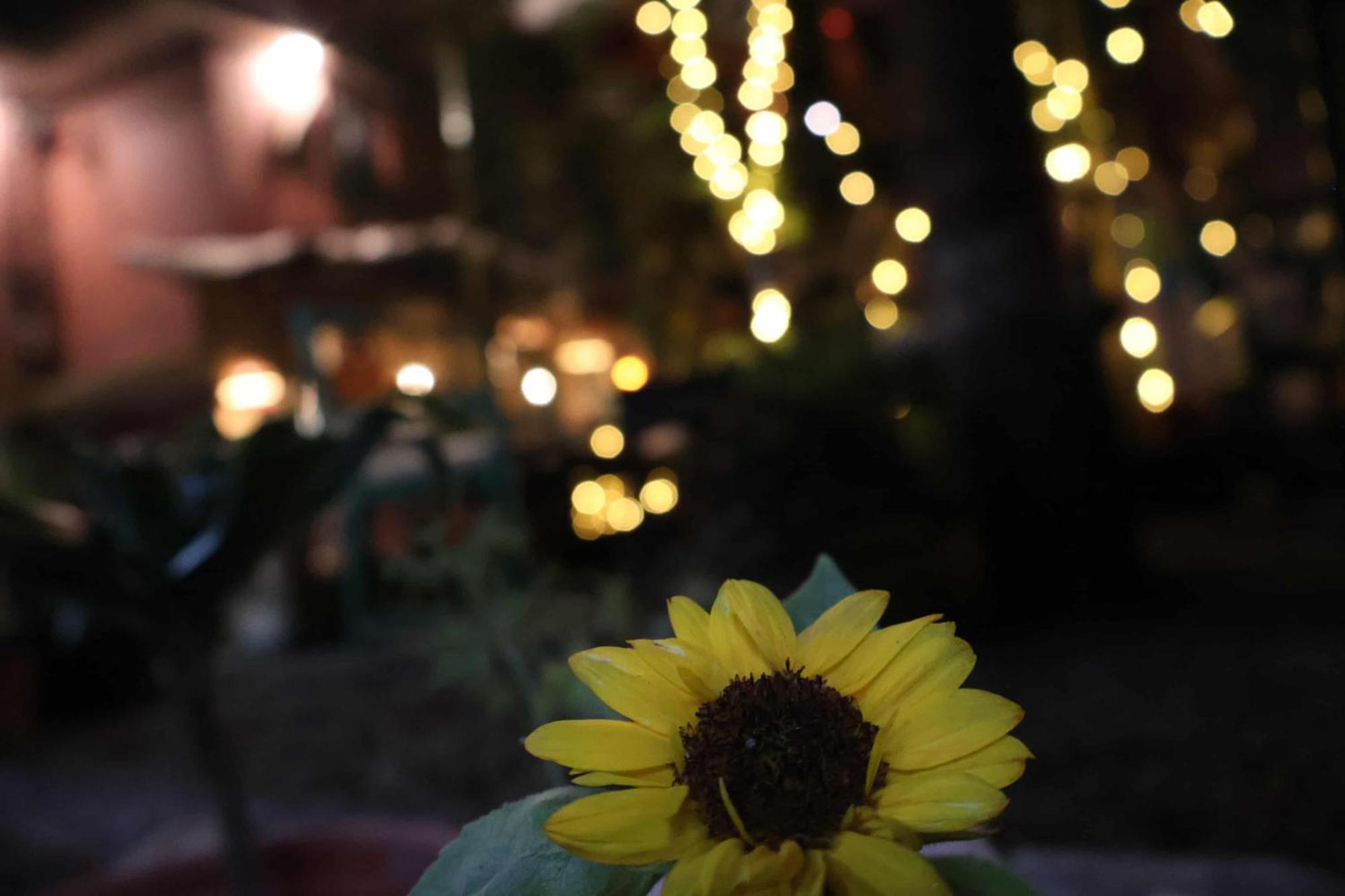 Nirvana Green Peace Home كاتماندو المظهر الخارجي الصورة